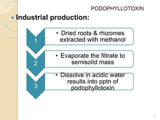 PODOPHYLLOTOXIN
 Industrial production:
21
1
• Dried roots & rhizomes
extracted with methanol
2
• Evaporate the filtrate to
semisolid mass
3
• Dissolve in acidic water
results into pptn of
podophyllotoxin
 