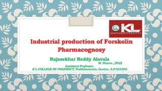 Pharmacognosy
Rajasekhar Reddy Alavala
M. Pharm., (PhD)
Assistant Professor,
K L COLLEGE OF PHARMACY, Vaddeswaram, Guntur, A.P-522502
Industrial production of Forskolin
 