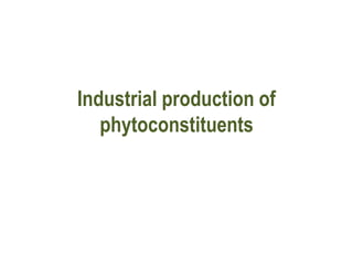 Industrial production of
phytoconstituents
 