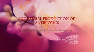 INDUSTRIAL PRODUCTION OF
ANTIBIOTICS
(Penicillin, Streptomycin, Tetracycline, Griseofulvin)
MAULSHREE
18MSCBT002
M.Sc. BIOTECHNOLOGY
3RD SEMESTER
MCE-JIBB.
 