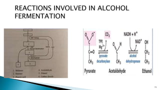 15
REACTIONS INVOLVED IN ALCOHOL
FERMENTATION
 