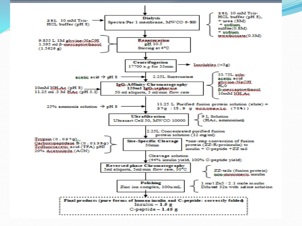 Industrial production of insulin.