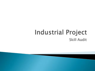 Industrial Project Skill Audit 