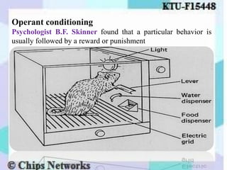 Operant conditioning
Psychologist B.F. Skinner found that a particular behavior is
usually followed by a reward or punishment
 
