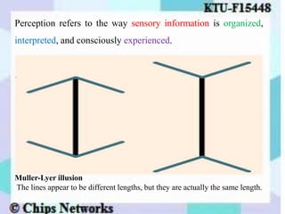 Perception refers to the way sensory information is organized,
interpreted, and consciously experienced.
.
Muller-Lyer illusion
The lines appear to be different lengths, but they are actually the same length.
 