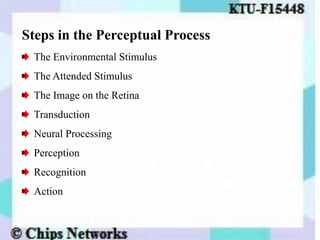 Steps in the Perceptual Process
The Environmental Stimulus
The Attended Stimulus
The Image on the Retina
Transduction
Neural Processing
Perception
Recognition
Action
 