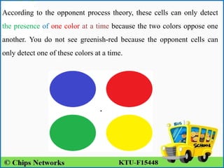 According to the opponent process theory, these cells can only detect
the presence of one color at a time because the two colors oppose one
another. You do not see greenish-red because the opponent cells can
only detect one of these colors at a time.
 