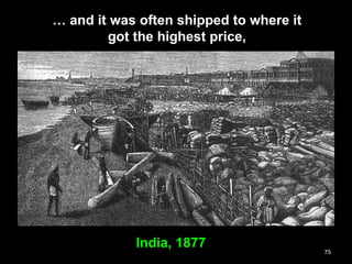 75
India, 1877
… and it was often shipped to where it
got the highest price,
 