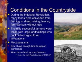 Conditions in the Countryside
   During the Industrial Revolution,
    many lands were converted from
    farming to sheep raising, leaving
    farm workers without jobs
   The only successful farmers were
    those with large landholdings who
    could afford agricultural
    innovations.
   Most peasants:
   Didn’t have enough land to support
    themselves
   Were devastated by poor harvests
           (e.g., the Irish Potato Famine of 1845-47)
 