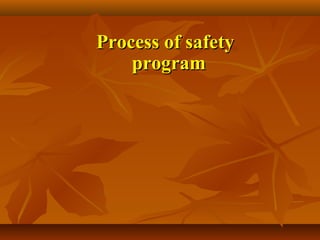Process of safety
    program
 