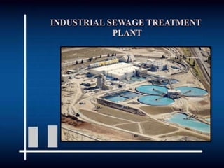 Industrial Sewage Treatment Plant in Chennai.pptx