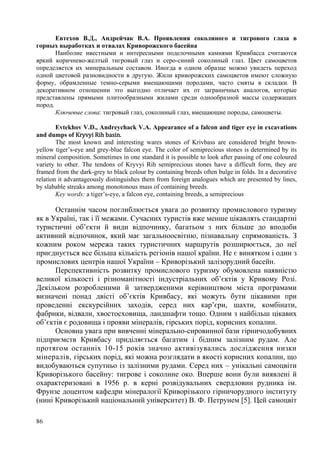 Евтехов В.Д., Андрейчак В.А. Проявления соколиного и тигрового глаза в
горных выработках и отвалах Криворожского басейна
Наиболие ивестными и интересными поделочными камнями Кривбасса считаются
яркий коричнево-желтый тигровый глаз и серо-синий соколиный глаз. Цвет самоцветов
определяется их минеральным составом. Иногда в одном образце можно увидеть переход
одной цветовой разновидности в другую. Жили криворожских самоцветов имеют сложную
форму, обрамленные темно-серыми вмещающими породами, часто смяты в складки. В
декоративном отношении это выгодно отличает их от заграничных аналогов, которые
представлены прямыми плитообразными жилами среди однообразной массы содержащих
пород.
Ключевые слова: тигровый глаз, соколиный глаз, вмещающие породы, самоцветы.
Evtekhov V.D., Andreychack V.A. Appearance of a falcon and tiger eye in excavations
and dumps of Kryvyi	Rih	basin.
The most known and interesting wares stones of Krivbass are considered bright brownyellow tiger’s-eye and grey-blue falcon eye. The color of semiprecious stones is determined by its
mineral composition. Sometimes in one standard it is possible to look after passing of one coloured
variety to other. The tendons of Kryvyi Rih semiprecious stones have a difficult form, they are
framed from the dark-grey to black colour by containing breeds often bulge in folds. In a decorative
relation it advantageously distinguishes them from foreign analogues which are presented by lines,
by slabable streaks among monotonous mass of containing breeds.
Key words: а tiger’s-eye, а falcon eye, containing breeds, а semiprecious

Останнім часом поглиблюється увага до розвитку промислового туризму
як в Україні, так і її межами. Сучасних туристів вже менше цікавлять стандартні
туристичні об’єкти й види відпочинку, багатьом з них більше до вподоби
активний відпочинок, який має загальноосвітню, пізнавальну спрямованість. З
кожним роком мережа таких туристичних маршрутів розширюється, до неї
приєднується все більша кількість регіонів нашої країни. Не є винятком і один з
промислових центрів нашої України – Криворізький залізорудний басейн.
Перспективність розвитку промислового туризму обумовлена наявністю
великої кількості і різноманітності індустріальних об’єктів у Кривому Розі.
Декільком розробленими й затвердженими керівництвом міста програмами
визначені понад двісті об’єктів Кривбасу, які можуть бути цікавими при
проведенні екскурсійних заходів, серед них кар’єри, шахти, комбінати,
фабрики, відвали, хвостосховища, ландшафти тощо. Одним з найбільш цікавих
об’єктів є родовища і прояви мінералів, гірських порід, корисних копалин.
Основна увага при вивченні мінерально-сировинної бази гірничодобувних
підприємств Кривбасу приділяється багатим і бідним залізним рудам. Але
протягом останніх 10-15 років значно активізувались дослідження низки
мінералів, гірських порід, які можна розглядати в якості корисних копалин, що
видобуваються супутньо із залізними рудами. Серед них – унікальні самоцвіти
Криворізького басейну: тигрове і соколине око. Вперше вони були виявлені й
охарактеризовані в 1956 р. в керні розвідувальних свердловин рудника ім.
Фрунзе доцентом кафедри мінералогії Криворізького гірничорудного інституту
(нині Криворізький національний університет) В. Ф. Петрунем [5]. Цей самоцвіт
86

 