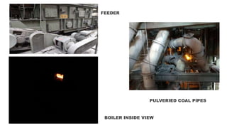 PULVERIED COAL PIPES
BOILER INSIDE VIEW
FEEDER
 