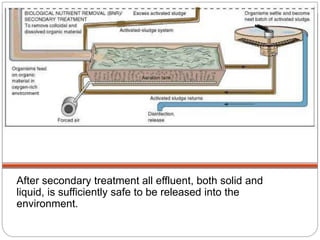 Secondary Treatment
After secondary treatment all effluent, both solid and
liquid, is sufficiently safe to be released into the
environment.
 