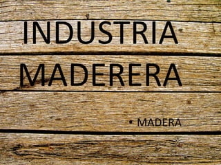 INDUSTRIA
MADERERA
• MADERA
 