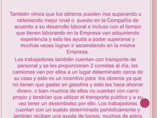 También vimos que los obreros pueden irse superando u obteniendo mejor nivel o  puesto en la Compañía de acuerdo a su desarrollo laboral e incluso con el tiempo que tienen laborando en la Empresa van adquiriendo experiencia y esto les ayuda a poder superarse y muchas veces logran ir ascendiendo en la misma Empresa.Los trabajadores también cuentan con transporte de personal y se les proporcionan 2 comidas al día, los camiones van por ellos a un lugar determinado cerca de su casa y esto es un incentivo para  los obreros ya que no tienen que gastar en gasolina y esto les hace ahorrar dinero, o bien muchos de ellos no cuentan con carro propio y tendrían que utilizar el transporte publico y a su vez tener un desembolso por ello. Los trabajadores cuentan con un sueldo determinado periódicamente y también reciben una ayuda de bonos, muchos de estos pueden ser por asistencia, productividad, etc.