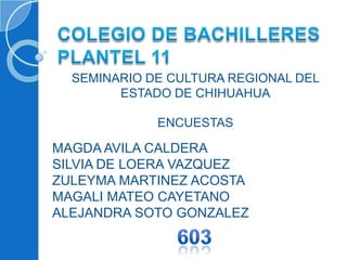 COLEGIO DE BACHILLERES PLANTEL 11	 SEMINARIO DE CULTURA REGIONAL DEL ESTADO DE CHIHUAHUA ENCUESTAS MAGDA AVILA CALDERA  SILVIA DE LOERA VAZQUEZ ZULEYMA MARTINEZ ACOSTA MAGALI MATEO CAYETANO ALEJANDRA SOTO GONZALEZ 603 
