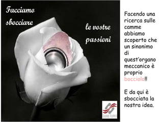 Facendo una
ricerca sulle
camme
abbiamo
scoperto che
un sinonimo
di
quest’organo
meccanico è
proprio
bocciolo!!
E da qui è
sbocciata la
nostra idea.
 