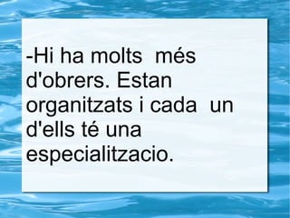 -Hi ha molts més
d'obrers. Estan
organitzats i cada un
d'ells té una
especialitzacio.
 