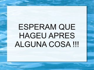 ESPERAM QUE
HAGEU APRES
ALGUNA COSA !!!
 