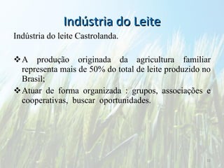 Indústria do Leite Indústria do leite Castrolanda. A produção originada da agricultura familiar representa mais de 50% do total de leite produzido no Brasil; Atuar de forma organizada : grupos, associações e cooperativas,  buscar  oportunidades. 