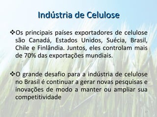 Indústria de Celulose Os principais países exportadores de celulose são Canadá, Estados Unidos, Suécia, Brasil, Chile e Finlândia. Juntos, eles controlam mais de 70% das exportações mundiais.  O grande desafio para a indústria de celulose no Brasil é continuar a gerar novas pesquisas e inovações de modo a manter ou ampliar sua competitividade  