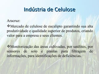 Indústria de Celulose Aracruz: Mercado de celulose de eucalipto garantindo sua alta produtividade e qualidade superior de produtos, criando valor para a empresa e seus clientes. Monitorização das áreas cultivadas, por satélites, por sensores de solo e plantas para filtragem de informações, para identificações de deficiências.  