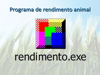 Programa de rendimento animal 