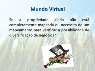 Mundo Virtual Se a propriedade ainda não está completamente mapeada ou necessita de um mapeamento para verificar a possibilidade de diversificação de negócios?  