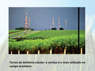 Torres de telefonia celular: o serviço é o mais utilizado no campo brasileiro 