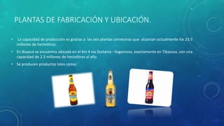 PLANTAS DE FABRICACIÓN Y UBICACIÓN.
• La capacidad de producción es gracias a las seis plantas cerveceras que alcanzan actualmente los 23.5
millones de hectolitros .
• En Boyacá se encuentra ubicada en el Km 4 vía Duitama –Sogamoso, exactamente en Tibasosa, con una
capacidad de 2.3 millones de hectolitros al año.
• Se producen productos tales como:
 