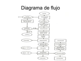 Diagrama de flujo 