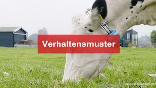 Verhaltensmuster
Bildquelle: fastcoexist.com
 