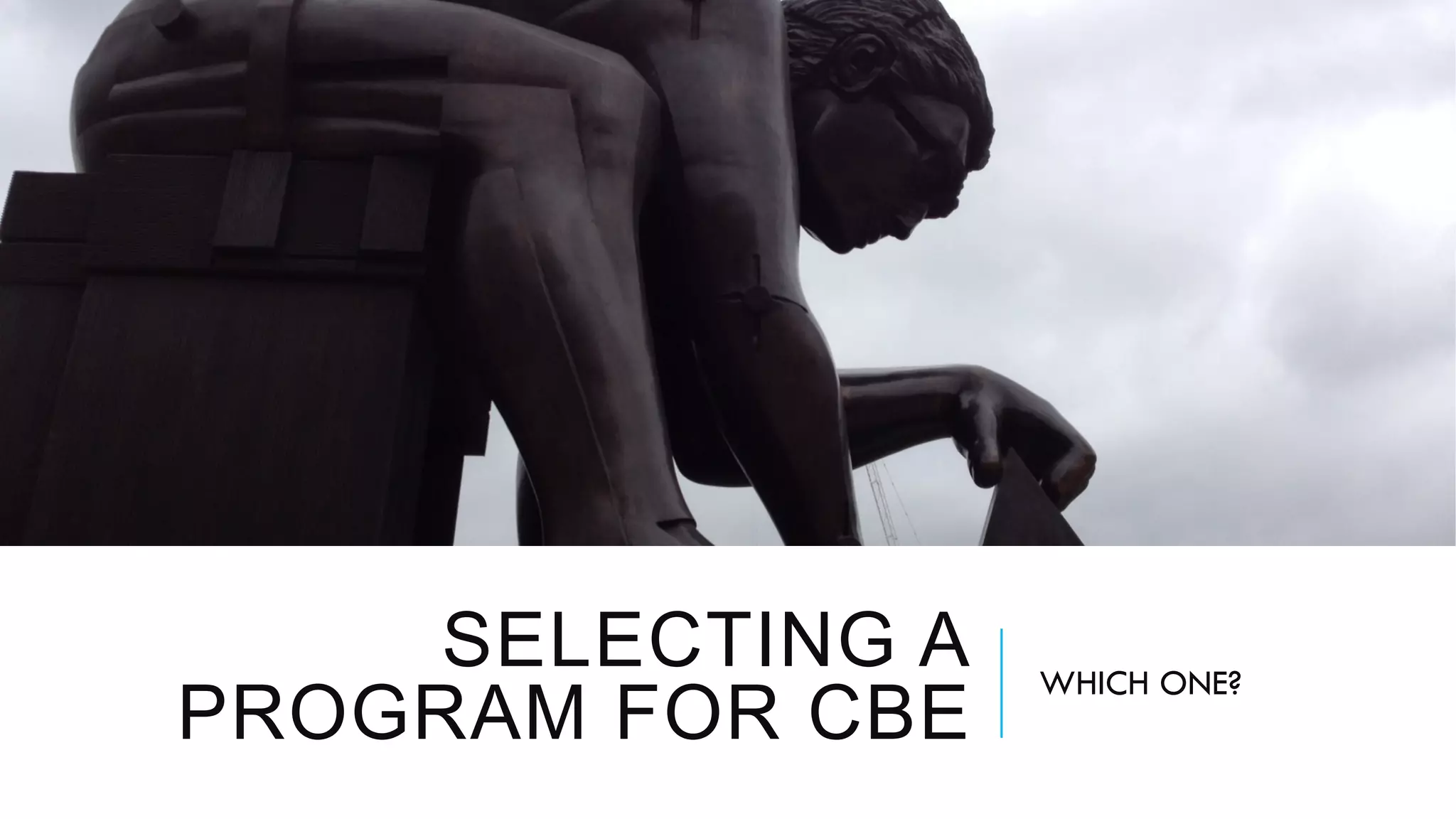 SELECTING A
PROGRAM FOR CBE
WHICH ONE?
 
