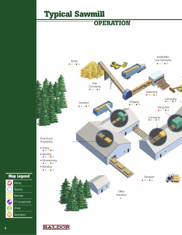 Industry Brochure Paper & Forest