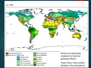 Forests are becoming
croplands to feed our
growing millions.
Fewer trees, more carbon
dioxide in the atmosphere
 