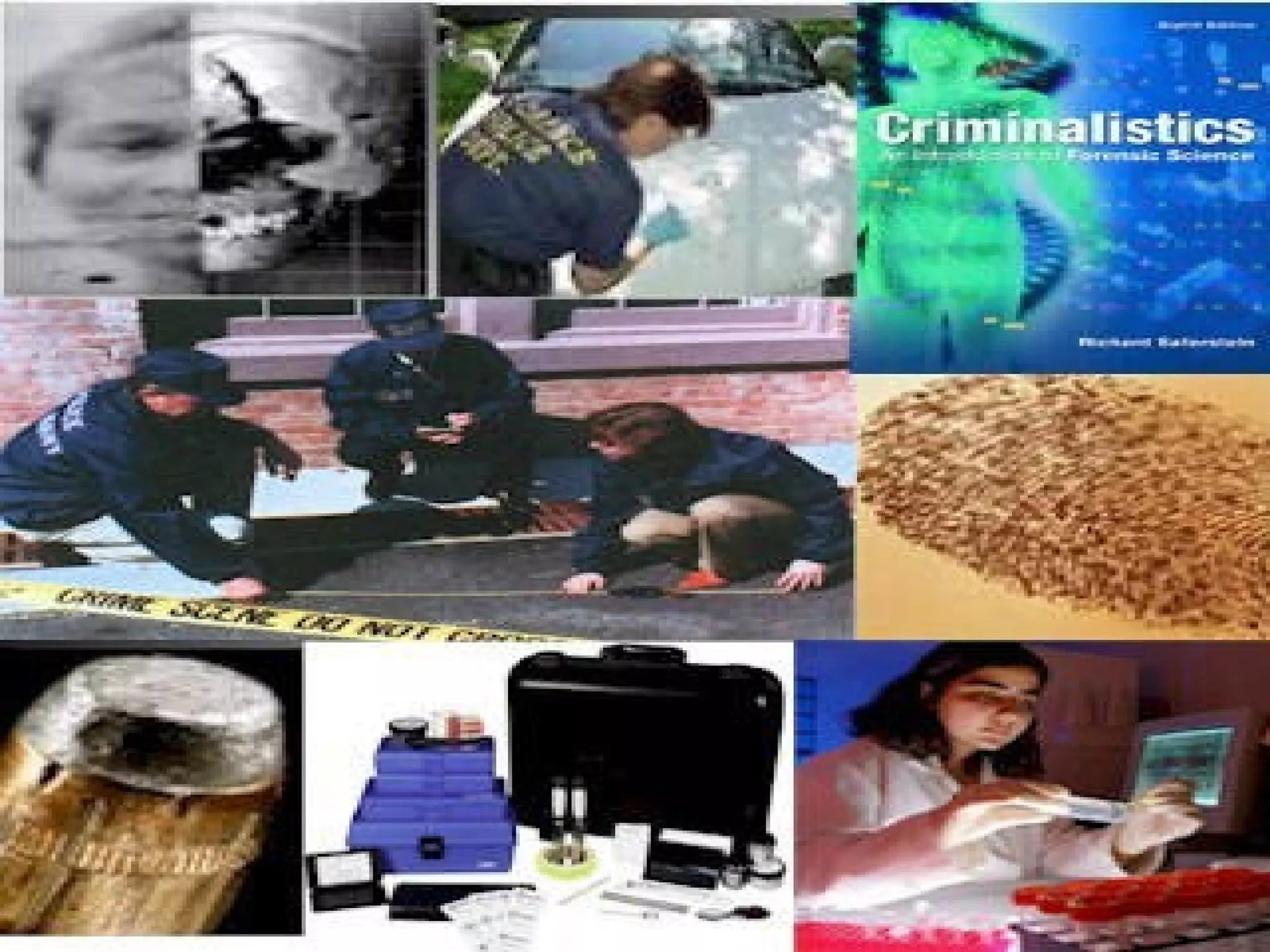 BIOINFORMATICS INSTITUTE OF INDIA 