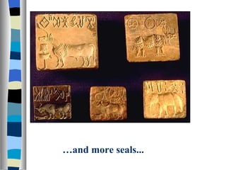 … and more seals... 