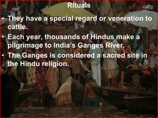 Rituals
• They have a special regard or veneration to
cattle.
• Each year, thousands of Hindus make a
pilgrimage to India’s Ganges River.
• The Ganges is considered a sacred site in
the Hindu religion.
 