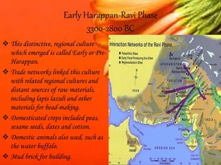 Early Harappan-Ravi Phase
3300-2800 BC
 This distinctive, regional culture
which emerged is called Early or Pre-
Harappan.
 Trade networks linked this culture
with related regional cultures and
distant sources of raw materials,
including lapis lazuli and other
materials for bead-making.
 Domesticated crops included peas,
sesame seeds, dates and cotton.
 Domestic animals also used, such as
the water buffalo.
 Mud brick for building.
 