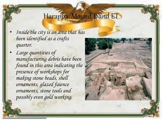 Harappa: Mound E and ET
• Inside the city is an area that has
been identified as a crafts
quarter.
• Large quantities of
manufacturing debris have been
found in this area indicating the
presence of workshops for
making stone beads, shell
ornaments, glazed faience
ornaments, stone tools and
possibly even gold working.
 