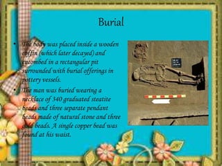 Burial
• The body was placed inside a wooden
coffin (which later decayed) and
entombed in a rectangular pit
surrounded with burial offerings in
pottery vessels.
• The man was buried wearing a
necklace of 340 graduated steatite
beads and three separate pendant
beads made of natural stone and three
gold beads. A single copper bead was
found at his waist.
 
