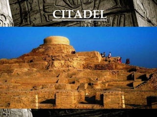 
CITADEL
 