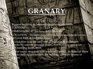 
 Biggest building at Mohenjo-daro was food store
(GRANARY)
 DIMENSION : 47.5m long & 15.2m wide
 LOCATION : Western edge of mound at south west corner
of Great Bath at Mohenjo Daro.
 Foundation was divided into 27 squares & rectangles
blocks by narrow passage ways , two running east west
& 8 running north west.
 Entire super structure was made of Timber , as some of these
blocks had square sockets for holding wooden beams or
pillars.
GRANARY
 