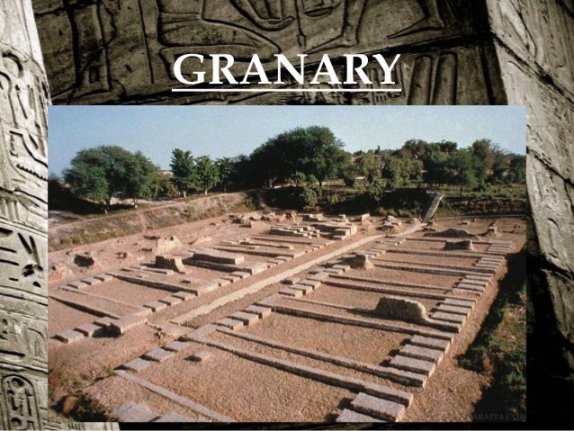 Indus valley civilization