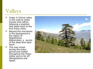 Valleys
 Cedar in Chitral valley
is still used to make
houses and coffins,
following a tradition
that dates back to the
first Indus cities.
 Beyond the mountains
in the background is
the region of
Badakhshan,
Afghanistan, a source
of the deep blue lapis
lazuli.
 This was mined
during the Indus
period and traded
throughout the Indus
Valley and to far off
Mesopotamia and
Egypt.
 