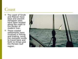 Coast
 The coast of Sindh
and Makran have
bays and ancient
Harappan sites
have been located
along the coast to
the border of
modern Iran.
 These coastal
settlements were
involved in fishing
and trading, using
the monsoon winds
to travel back and
forth to Oman and
the Persian Gulf
region.
 