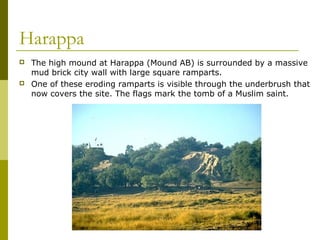 Harappa
 The high mound at Harappa (Mound AB) is surrounded by a massive
mud brick city wall with large square ramparts.
 One of these eroding ramparts is visible through the underbrush that
now covers the site. The flags mark the tomb of a Muslim saint.
 