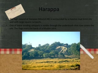 Harappa
•

•

The high mound at Harappa (Mound AB) is surrounded by a massive mud brick city
wall with large square ramparts.
One of these eroding ramparts is visible through the underbrush that now covers the
site. The flags mark the tomb of a Muslim saint.

 