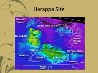 Harappa Site

 